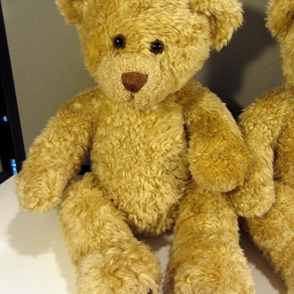 Build-A-Bear Pair of identical or twin bears. Adult owned, nice and clean! - Picture 6 of 8